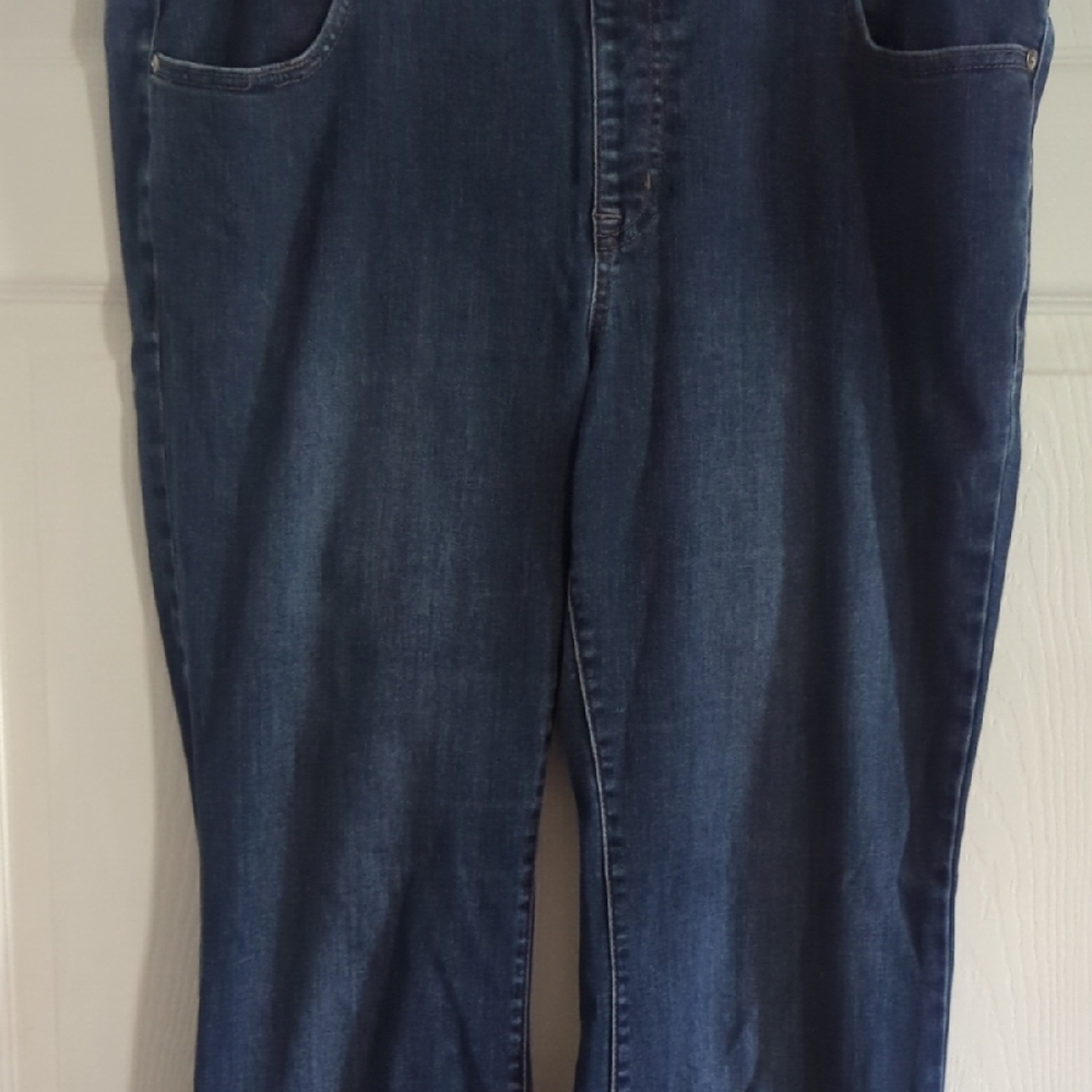 Lane Bryant Dark Blue Denim Jeans